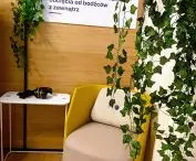 Strefa Komfortu, która pozwala wypróbować różne metody regulowania poziomu pobudzenia