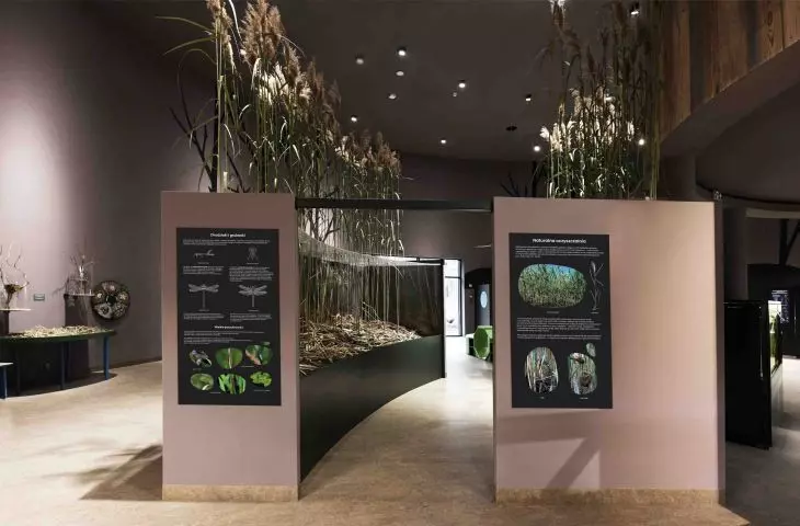 Mazurian Biodiversity and Education Center KUMAK