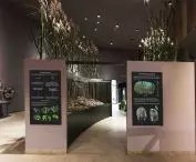 Mazurian Biodiversity and Education Center KUMAK