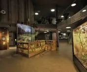 Mazurian Biodiversity and Education Center KUMAK