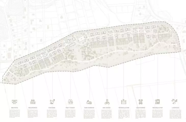 plan zagospodarowania terenu