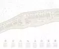 plan zagospodarowania terenu