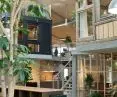 The office is full of vibrant greenery