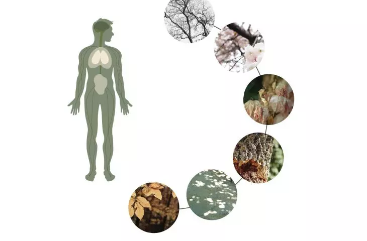 Biofilia