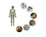 Biophilia