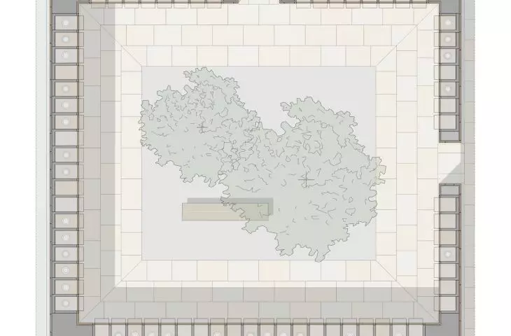 module plan