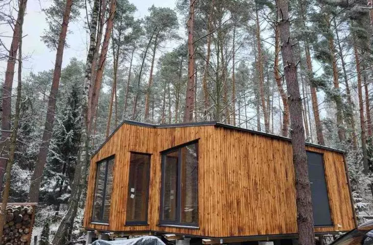 Royal Wood - excellent quality of wood