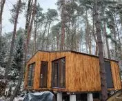 Royal Wood - excellent quality of wood