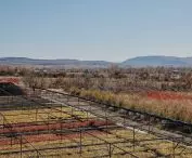 miejski las w Tbilisi w Gruzji (proj.: Ruderal)