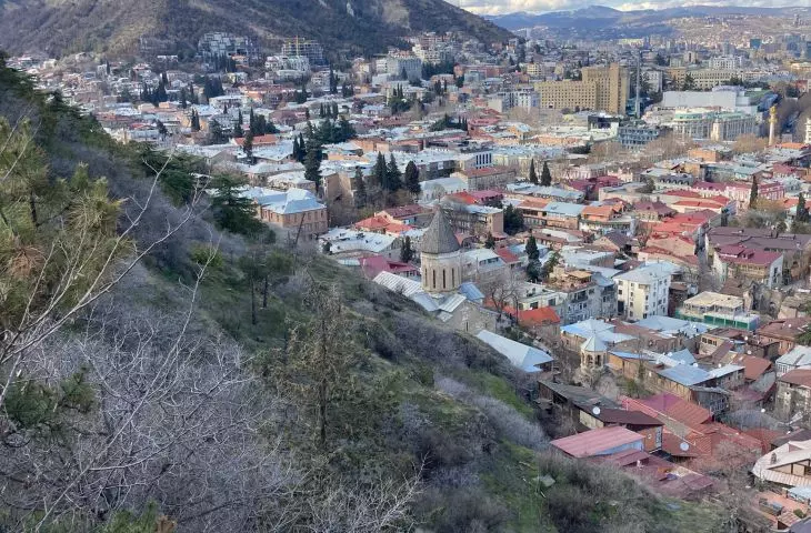 miejski las w Tbilisi w Gruzji (proj.: Ruderal)