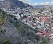 Urban forest in Tbilisi, Georgia (design: Ruderal)
