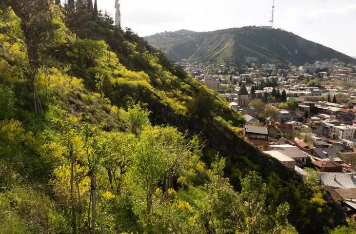 miejski las w Tbilisi w Gruzji (proj.: Ruderal)