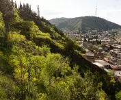 Urban forest in Tbilisi, Georgia (design: Ruderal)