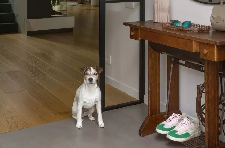 The house is also inhabited by a jack russell terrier