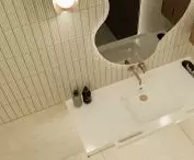 Toilet detail