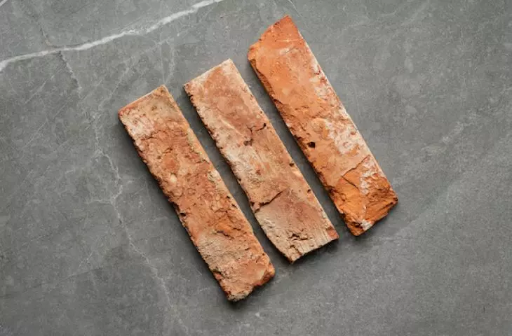 Tile Express - Brick of yesteryear