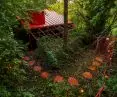 A house of color on an allotment from NOKE Architects