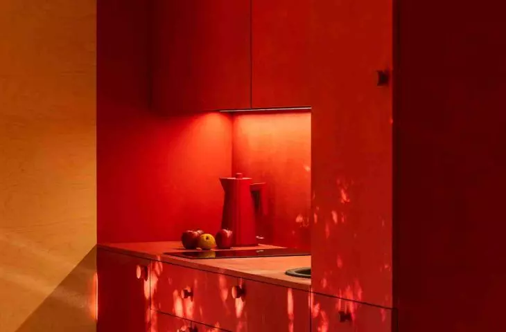Dom koloru na ogródku działkowym od NOKE Architects