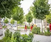 Woonerf na ulicy Brackiej w Warszawie`