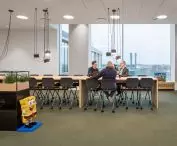We wnętrzach możemy znaleźć produkty firmy
