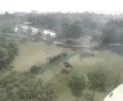 wizualizacja