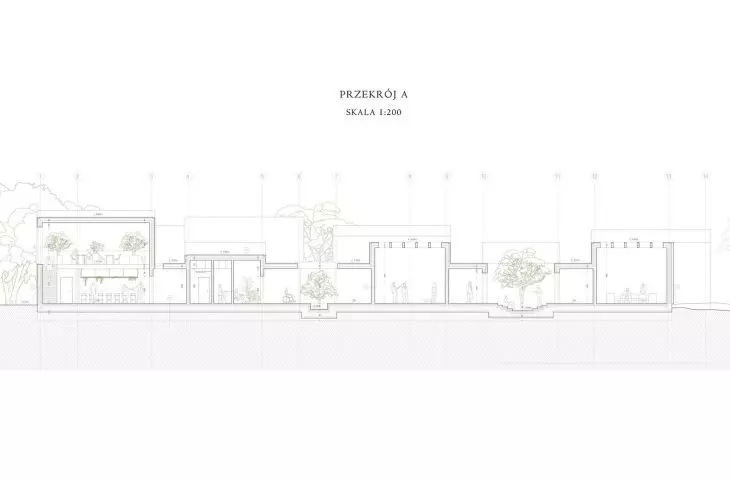 section