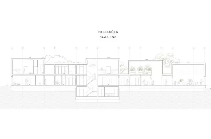 section