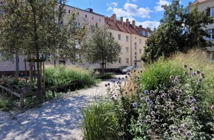 przestrzeń odzyskana pod zieleń — nowe skwery w Poznaniu