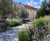 przestrzeń odzyskana pod zieleń — nowe skwery w Poznaniu