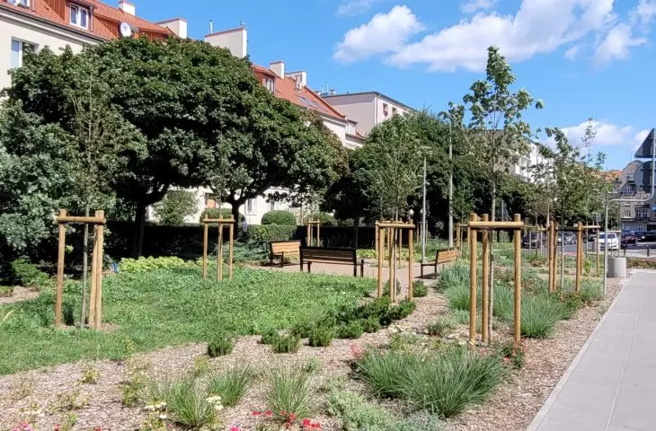 przestrzeń odzyskana pod zieleń — nowe skwery w Poznaniu