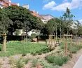 Space reclaimed for greenery - new squares in Poznań