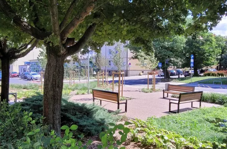 przestrzeń odzyskana pod zieleń — nowe skwery w Poznaniu