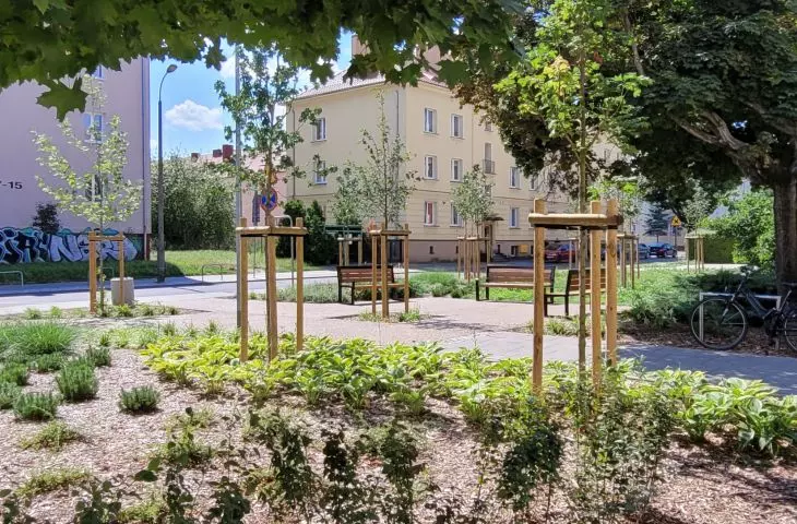przestrzeń odzyskana pod zieleń — nowe skwery w Poznaniu
