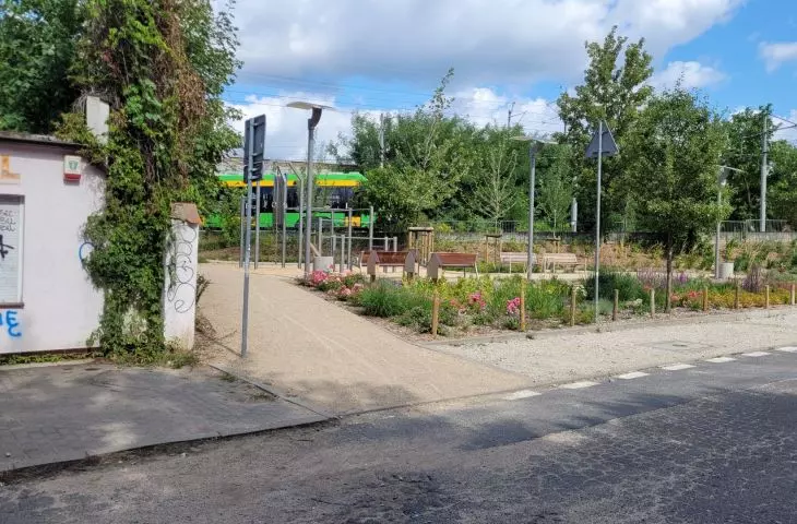 przestrzeń odzyskana pod zieleń — nowe skwery w Poznaniu