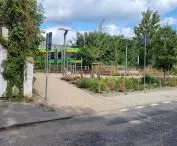 przestrzeń odzyskana pod zieleń — nowe skwery w Poznaniu