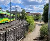 przestrzeń odzyskana pod zieleń — nowe skwery w Poznaniu