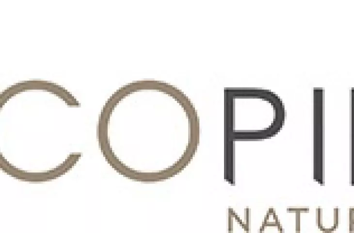 Ecopiedra