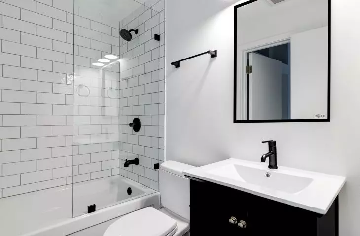 ECOSUN 325 W mirror