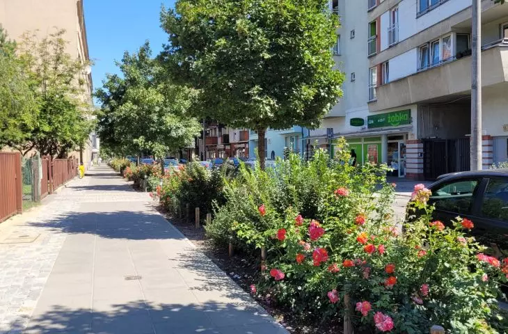 przestrzeń odzyskana pod zieleń — nowe skwery w Poznaniu