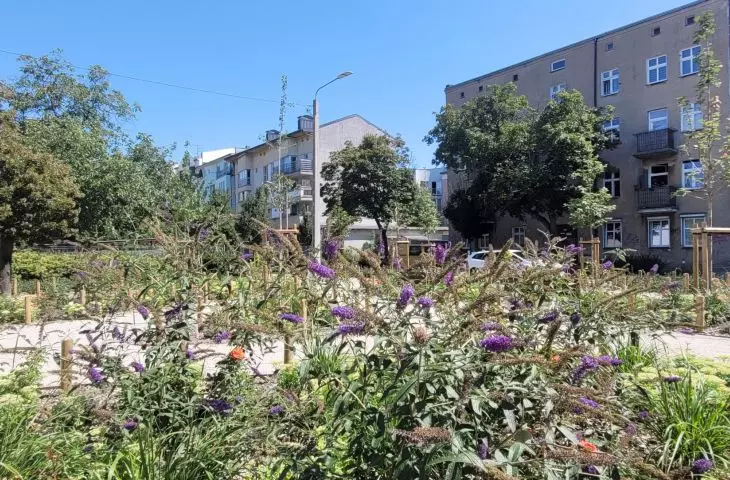 przestrzeń odzyskana pod zieleń — nowe skwery w Poznaniu