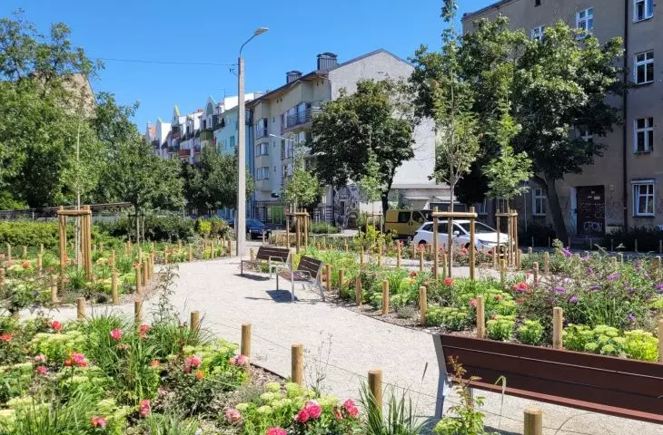 przestrzeń odzyskana pod zieleń — nowe skwery w Poznaniu