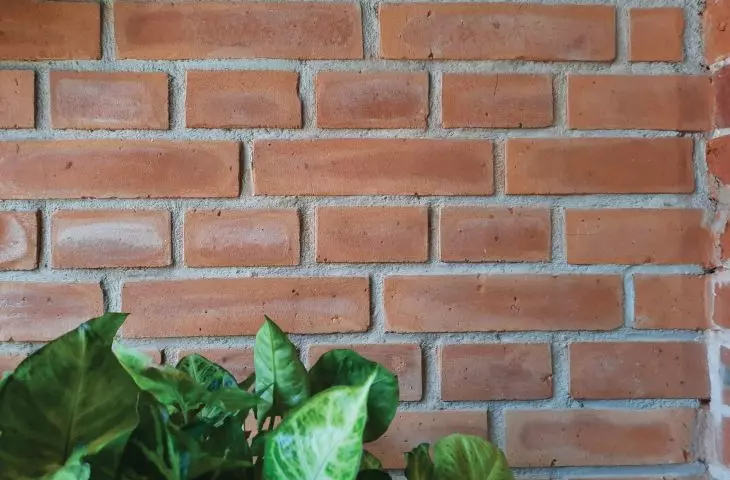 Zabezpieczenie cegły – Immerfob 3