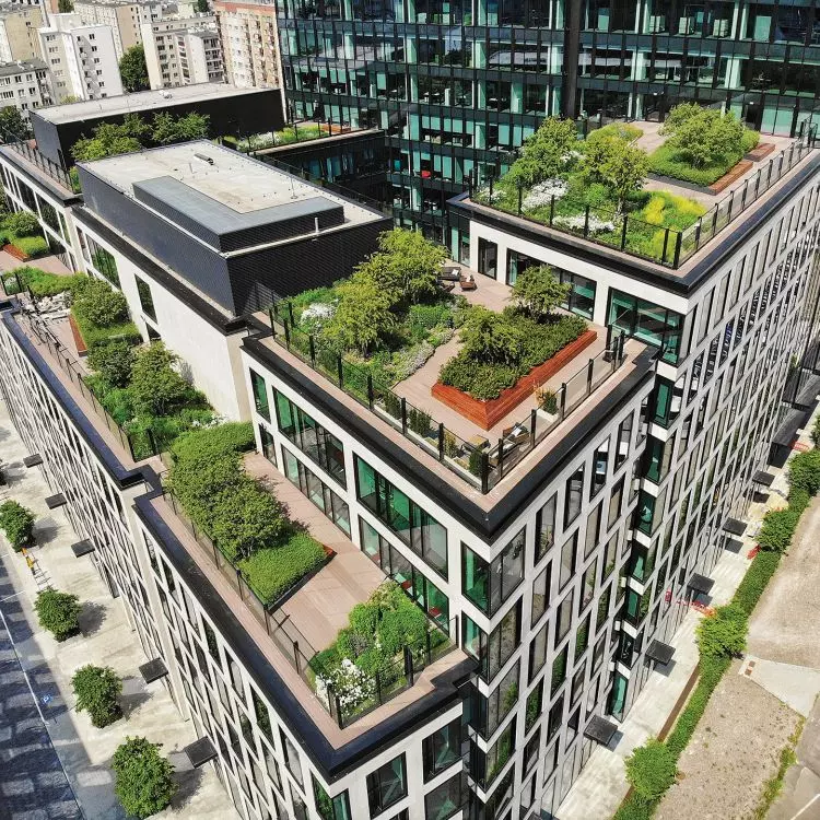 Lush greenery of Varso Place rooftop gardens installed with ZinCo system photo by A. Lech, GCL