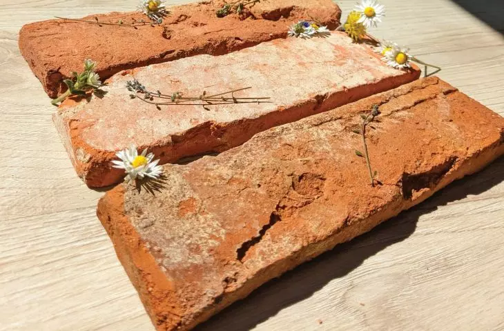 Zamów nasze próbki!
