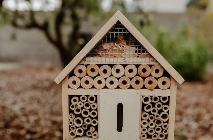 Put an insect hotel in your garden