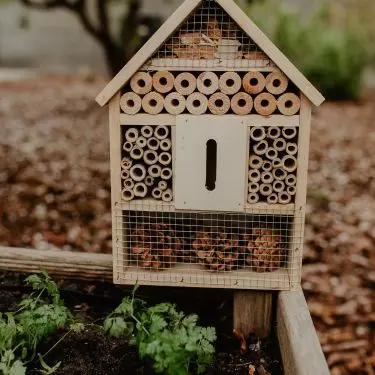 Put an insect hotel in your garden