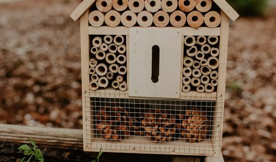 Put an insect hotel in your garden