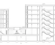 longitudinal section