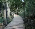 This is what park paths can look like