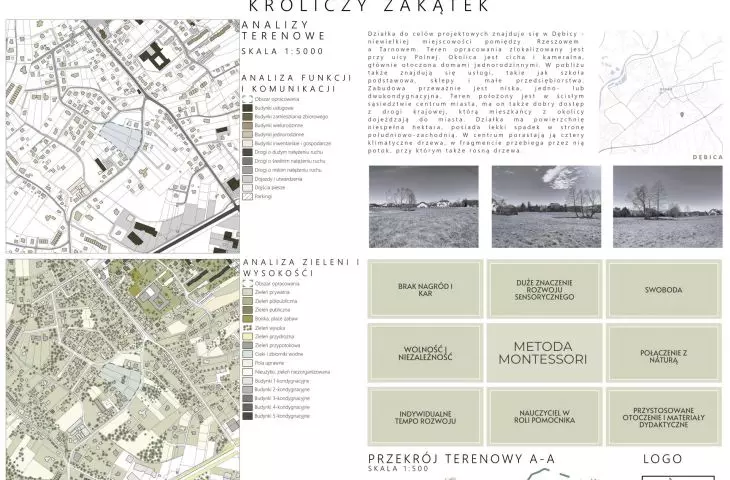 analiza terenowa i idea projektu